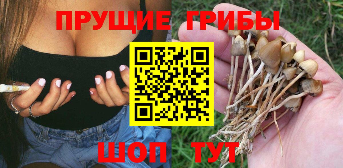 Псилоцибиновые грибы мицелий  Вход с VPN  Чапаевск 